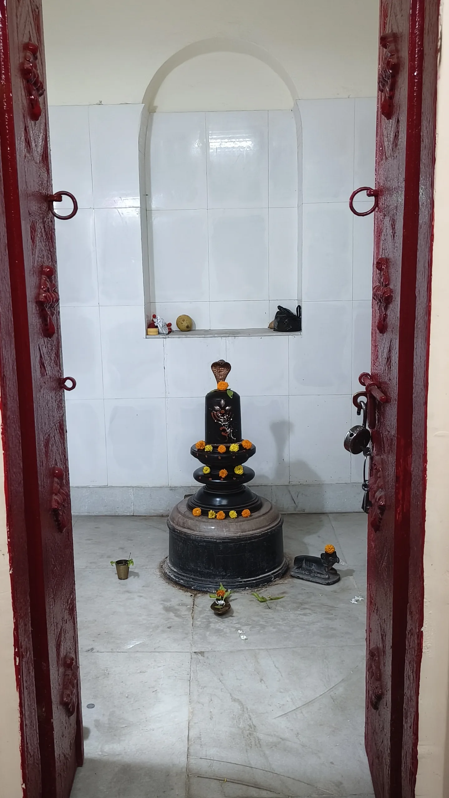 Why is Shiva worshipped as a Lingam while other gods have idols?