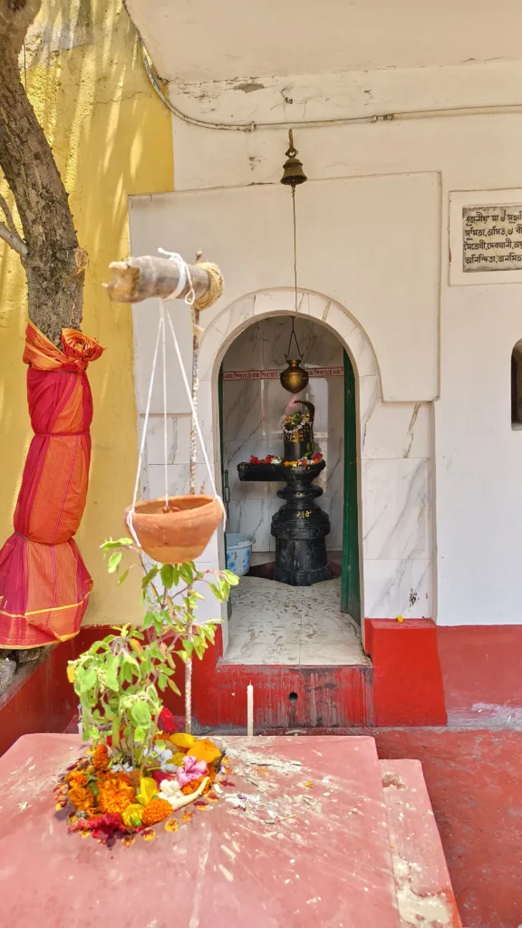 Shiva Lingam
