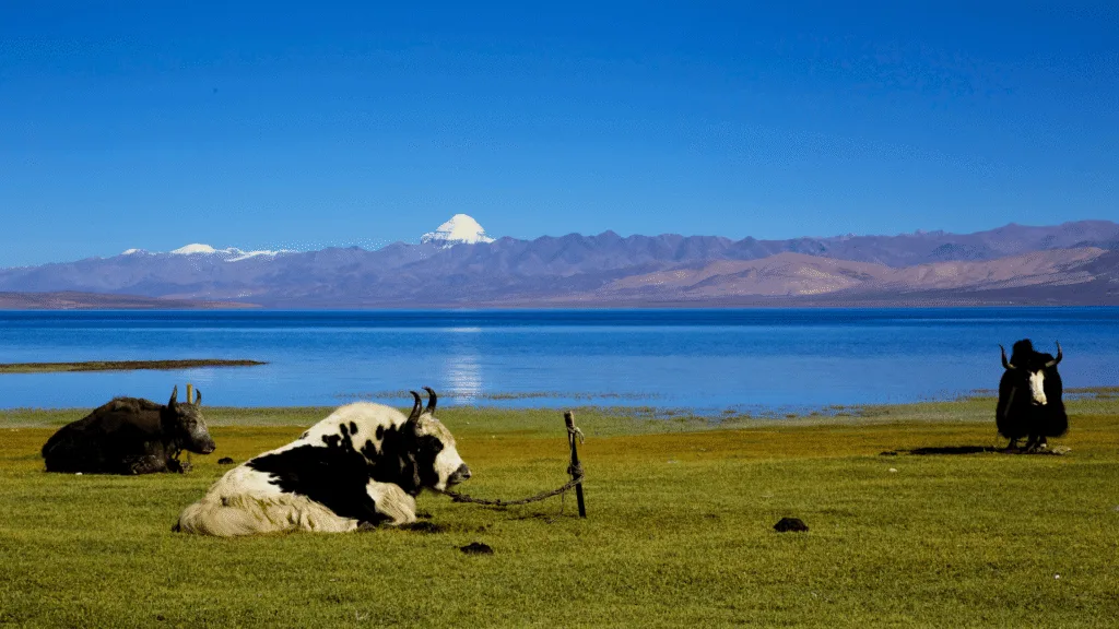 Mansarovar lake