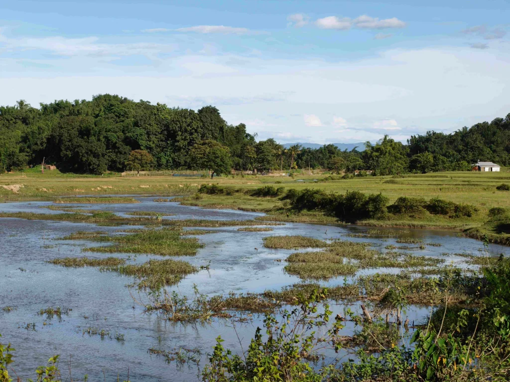 Majuli, Assam water body