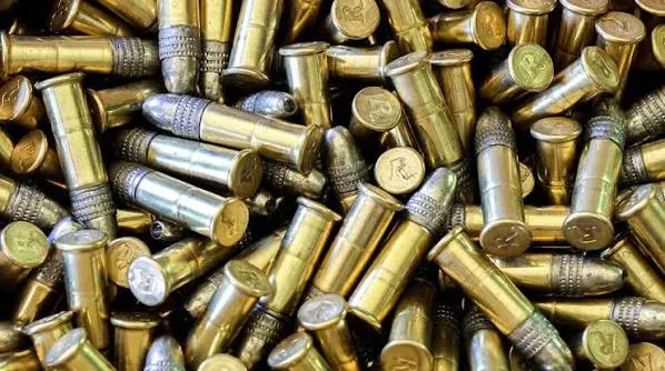 A batch of .22-calibre rimfire rounds, the small cartridges widely used in competitive shooting.