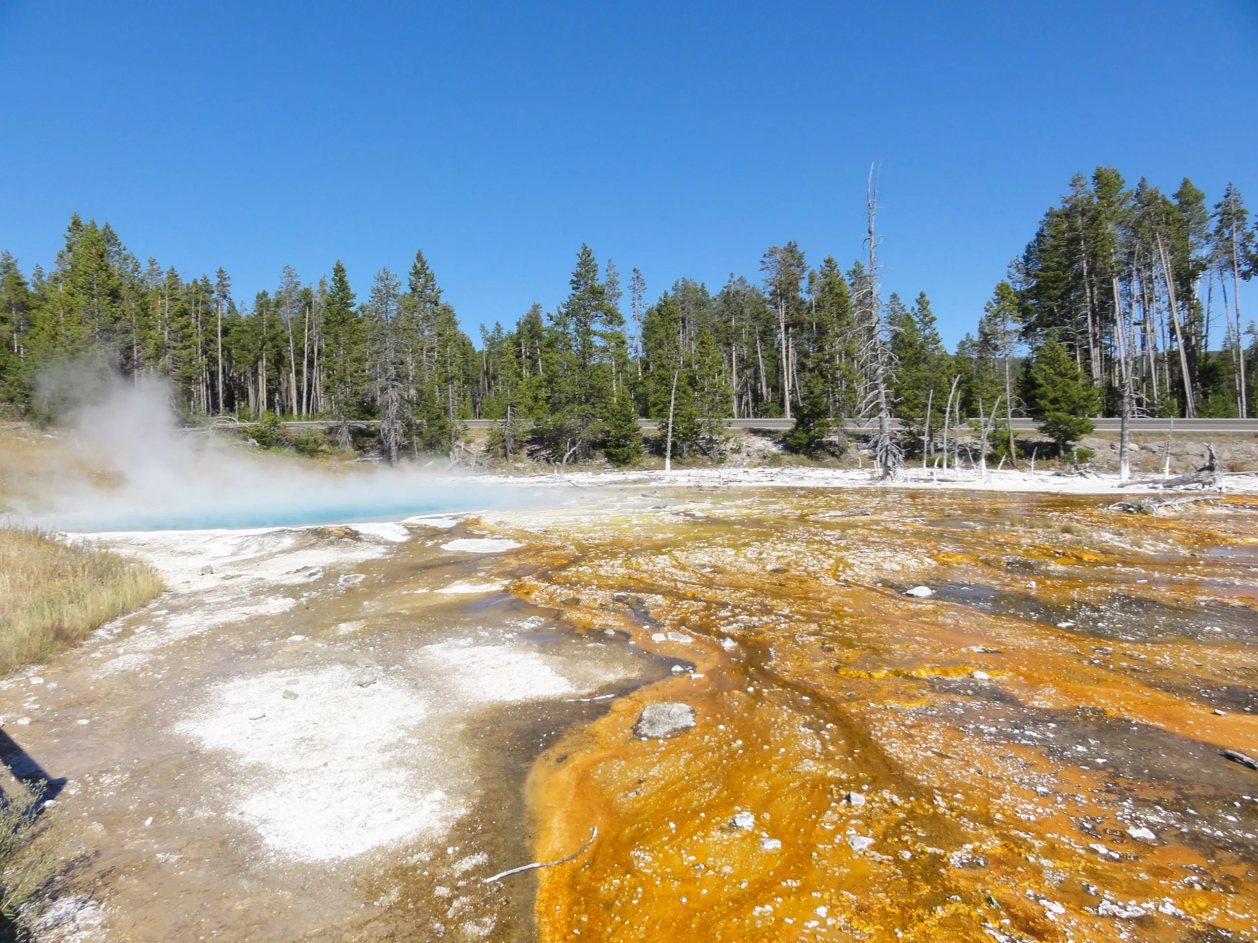 Yellowstone removes 20,000 items from hot springs: See the bizarre finds