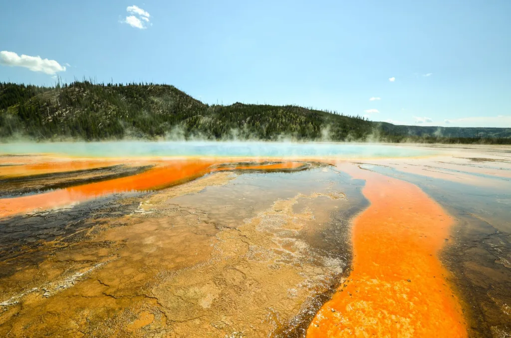 Yellowstone National Park’s geology team has removed a record 20,100-plus items from its thermal areas in 2026