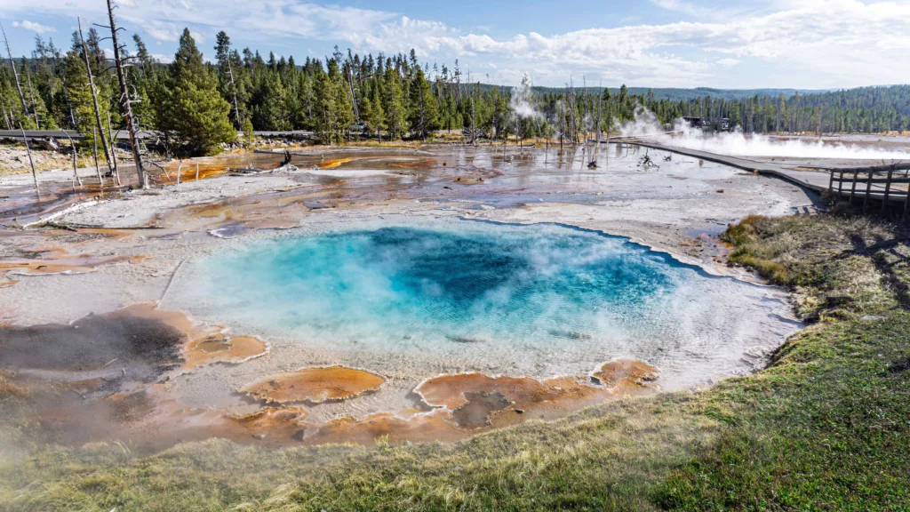 Yellowstone trash cleanup sets record with 20,100 items recovered
