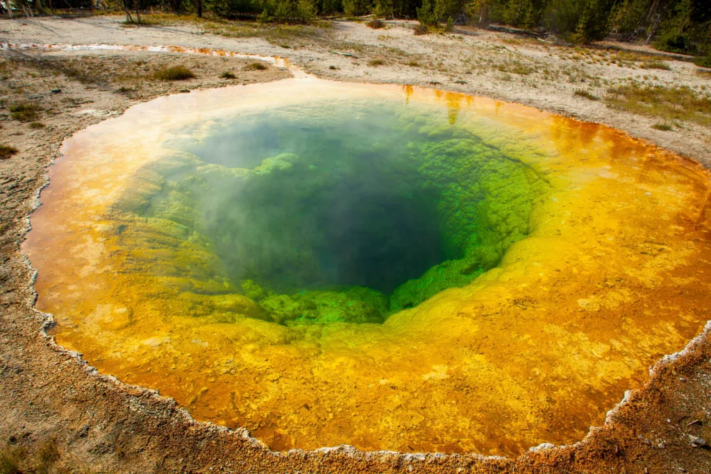 Rubber ducks, Pokémon cards and hundreds of hats are among more than 20,100 items removed from Yellowstone’s thermal areas in 2026.