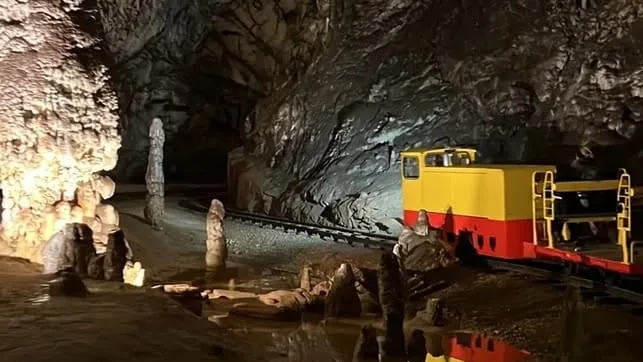Slovenia’s underground train ride takes visitors past ‘baby dragons’