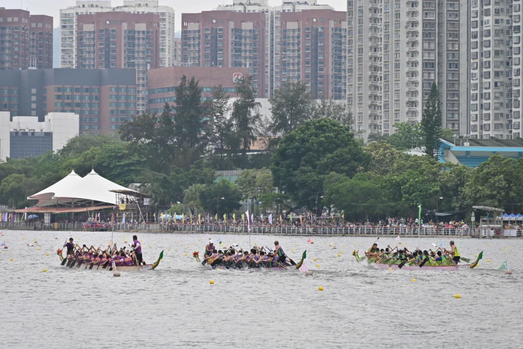 Watch the dragon boats race
