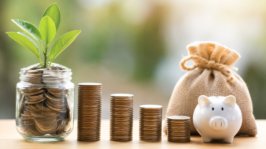 EPFO savings and provident fund concept | Representative image