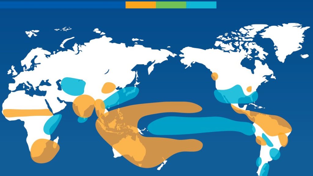 A strong El Nino event is expected between July and September | X/@WMO