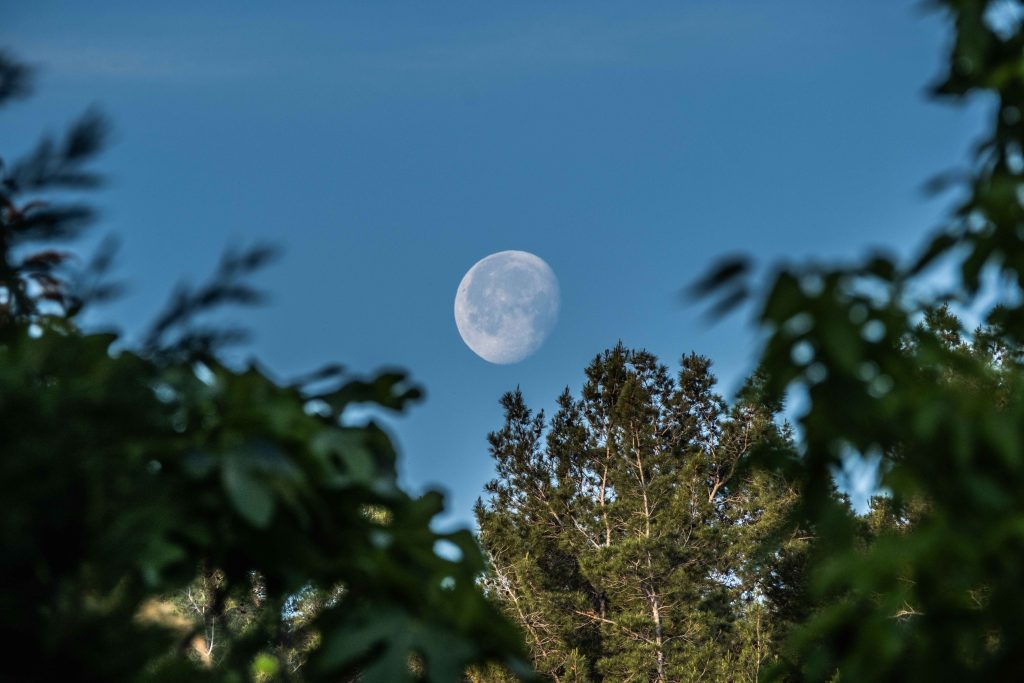 July 2026 promises one of the year's best stargazing seasons, with the Buck Moon, bright Venus, the Milky Way and the first Perseid meteors lighting up the night sky.