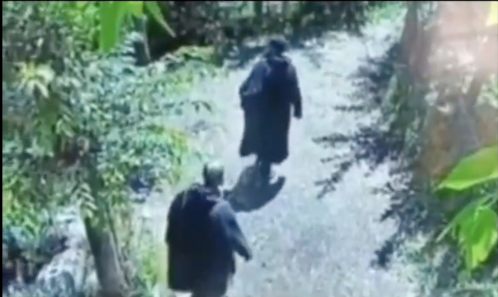 The Shopian encounter gathered momentum after surveillance footage showed the two suspected terrorists moving through the orchard belt on Friday. (X)