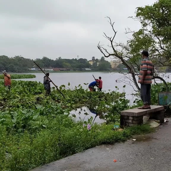 The cleansing of 14-acre Bikramgarh Jheel, South Kolkata’s second-largest waterbody after Rabindra Sarobar has excited Bengali folk-fusion band Bhoomi’s Soumitra Ray who is a member of the Bikramgarh Jheel Bachao Committee. (X)