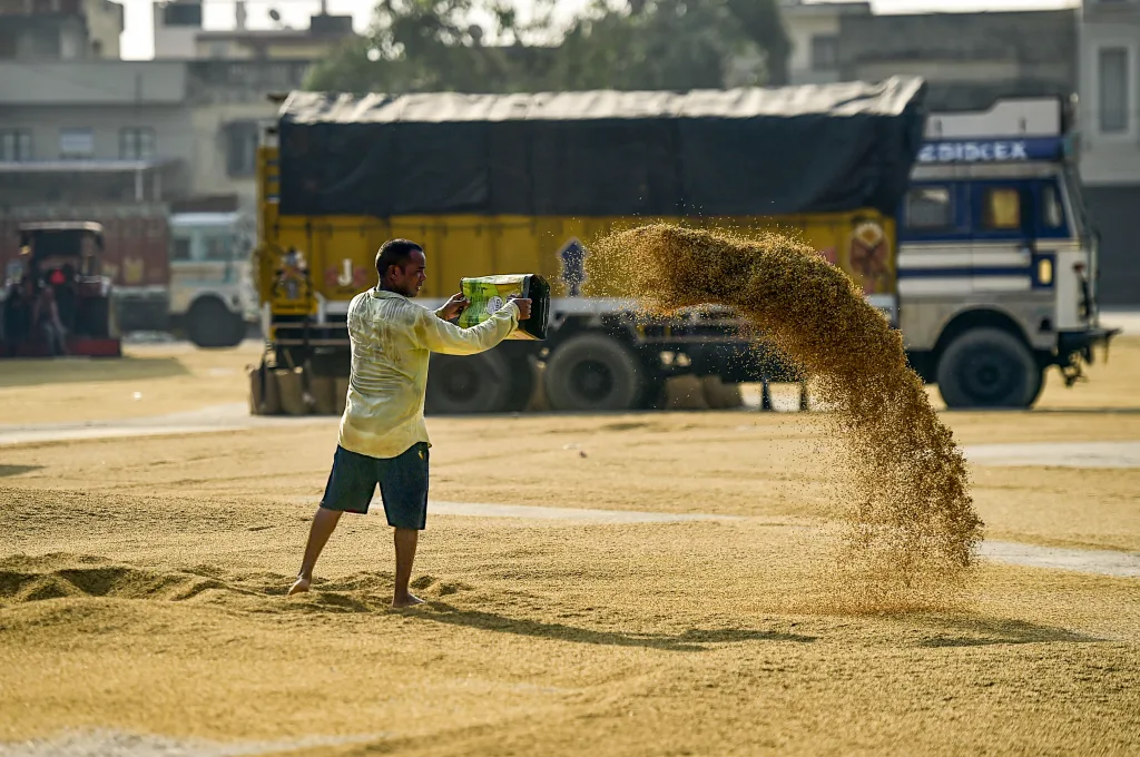 FCI has clarified that the ongoing investigation relates to the alleged diversion of 242.5 quintals of rice and not the entire quantity supplied under the ethanol blending programme./ ANI
