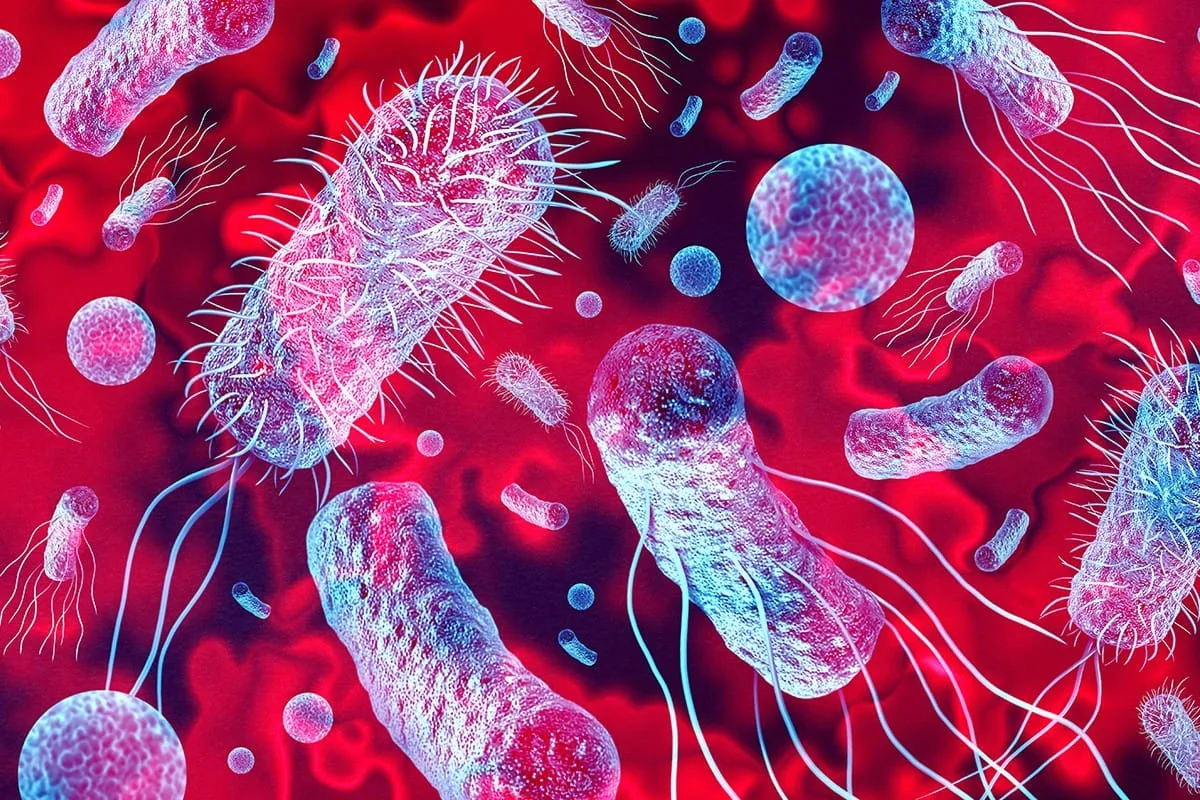 WHO shares new insights on herpes as billions live with the virus