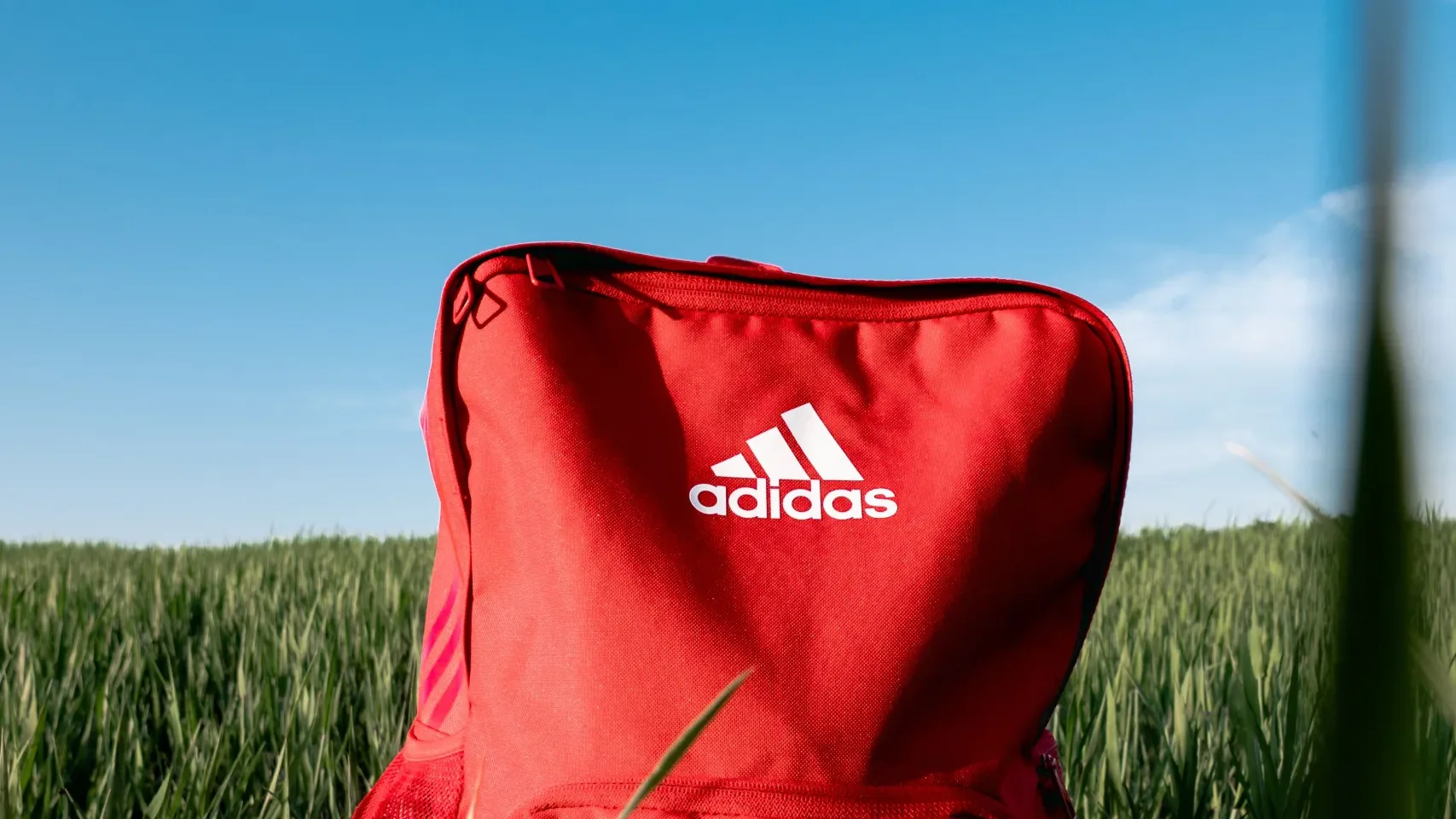 Adidas denies 50% layoffs at Gurugram Tech Hub: What we know